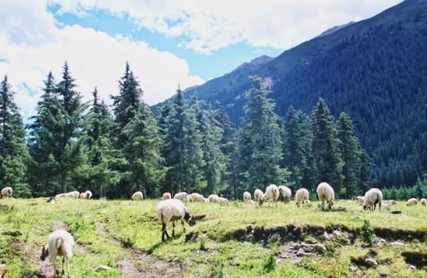 青海與甘肅交界，有座寶藏小縣城，幾乎包攬了兩地最美的風景