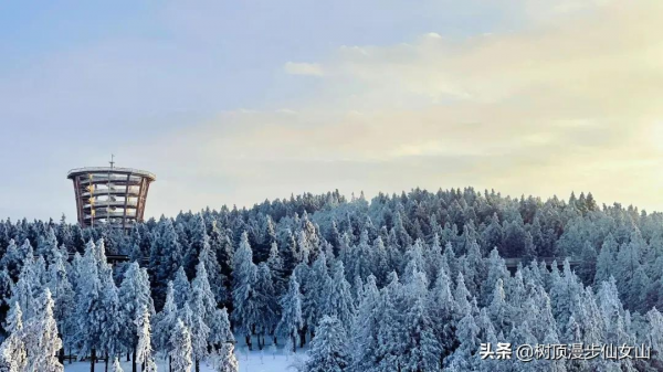 冬遊川渝，被冬季的仙女山驚豔了