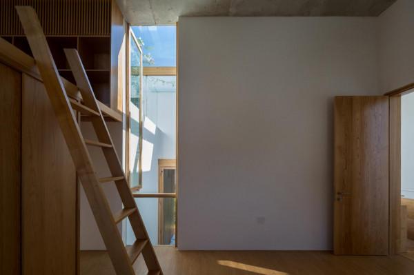 277㎡越南住宅：公共空間為核心，自由地穿插泳池、樹木和花園