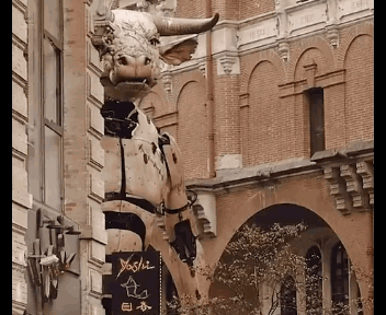 你見過躲雨的火烈鳥嗎？30張趣圖讓你大開眼界