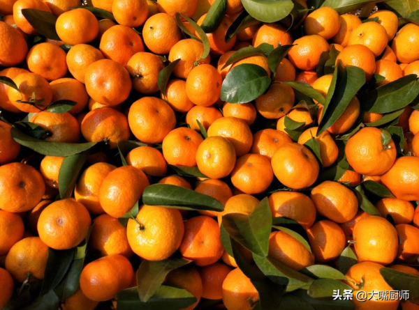 都是沙糖桔,帶葉子和不帶葉子有啥區別?牢記4不買,新鮮又好吃 都是沙糖桔,帶葉子和不帶葉子有啥區別?牢記4不買,新鮮又好吃