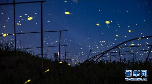 美景山東‖螢火蟲水洞：亞洲罕見的螢火蟲奇觀