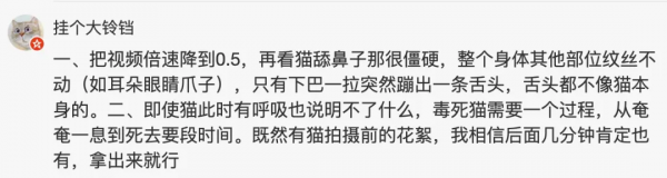 所以於正劇組虐貓了嗎