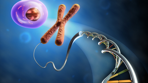 中成藥集採開始 連花清瘟等132個大品種納入