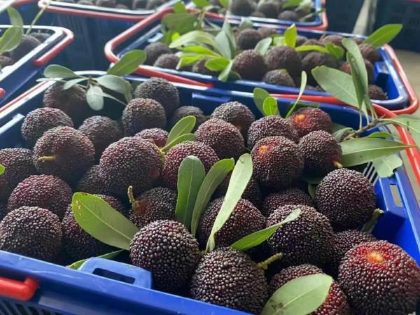 你見過這款潮汕黑暗料理嗎