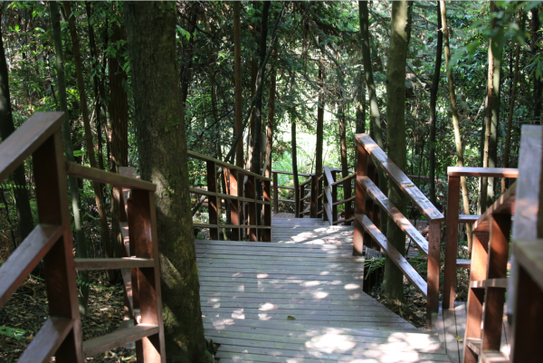 國慶大發現!竟有這麼適合四季養生的地方,實地探訪北緯29°小鎮 國慶大發現!竟有這麼適合四季養生的地方,實地探訪北緯29°小鎮