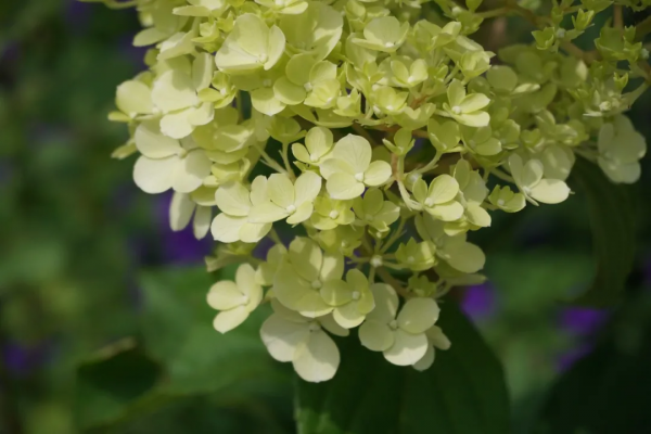 京城這個爆火的4A級景區，你打卡了嗎？快收下這份經典路線攻略，跟著走就行！