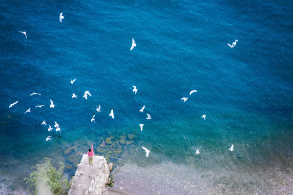 雲南恢復跨省遊！2021年最後兩週，我們該去雲南看看另一種冬天