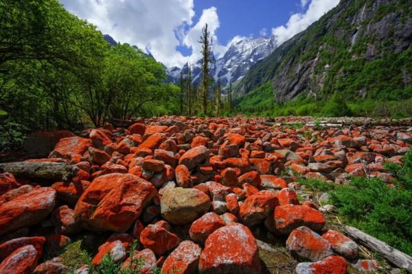 國慶小長假來了！還沒想好去哪玩？推薦幾個省錢又好玩的地方
