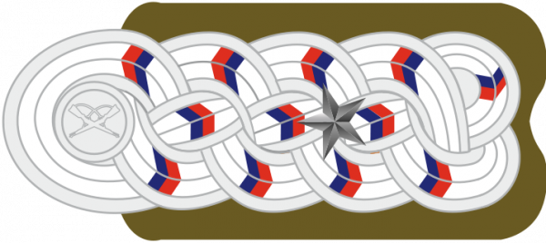 智利警銜標識 智利警銜標識