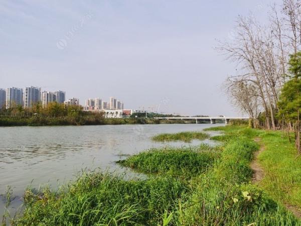 廢黃河是徹底廢的了