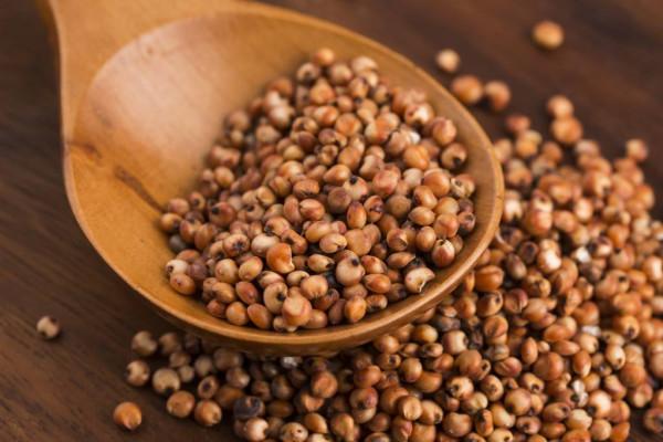 不知道熱性食物有哪些？看這個就行了