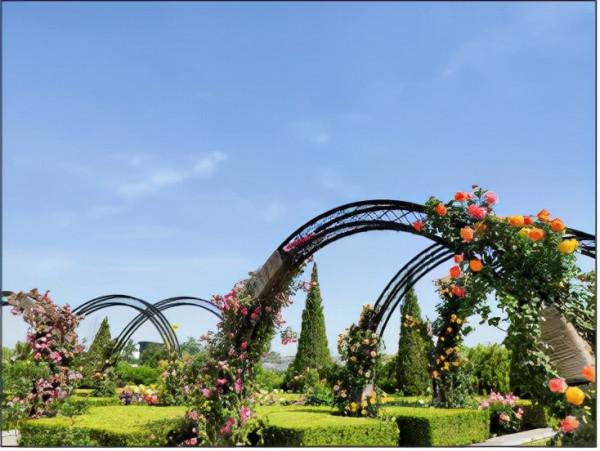 揭秘世界花卉大觀園三大“鎮園植寶”，樹齡相加超1000歲