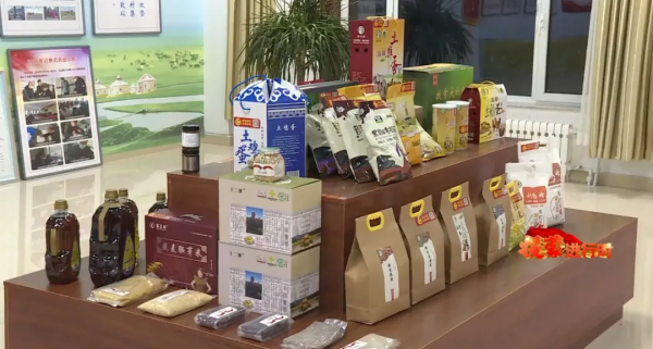 草原上的“四季番茄小鎮” 草原上的“四季番茄小鎮”