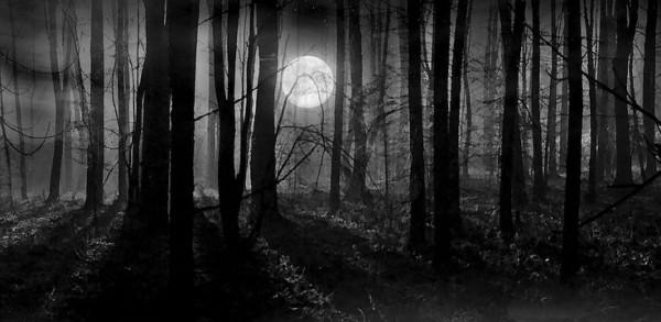 細思極恐的費米悖論，在浩瀚的星辰中的我們要如何去解答