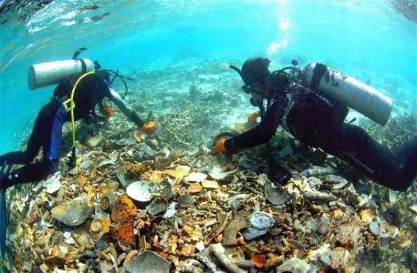 從刺桐到泉州，宋元時“東方第一大港”有多輝煌？
