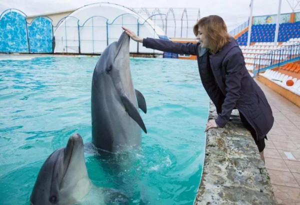 小海豚被拖網纏住，漁民冒險潛入海中相救，海豚每年都來看望恩人