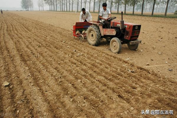在農村種地一年掙10萬元，還會外出打工嗎？