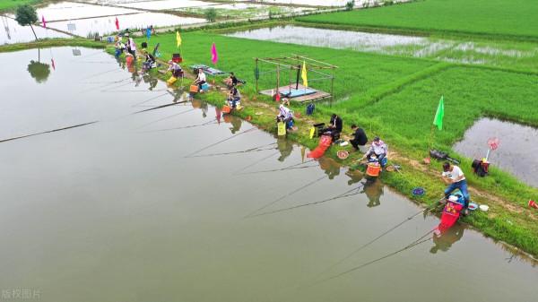 無私奉獻一款“釣魚藥酒”！老釣魚人用了20年！從不外傳