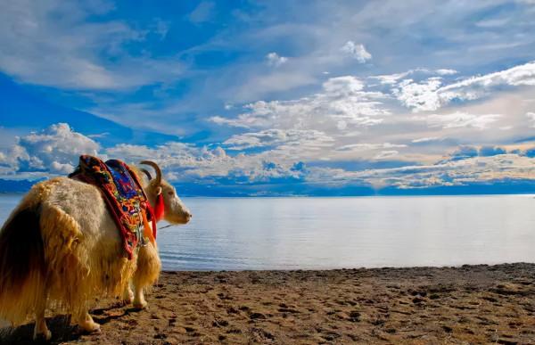 中國10座最慵懶的城市！累了煩了，趁著十一就去待幾天