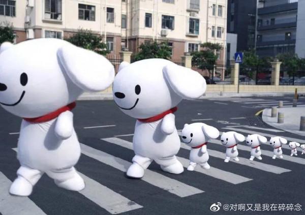 今天被一條狗狗治癒了不開心