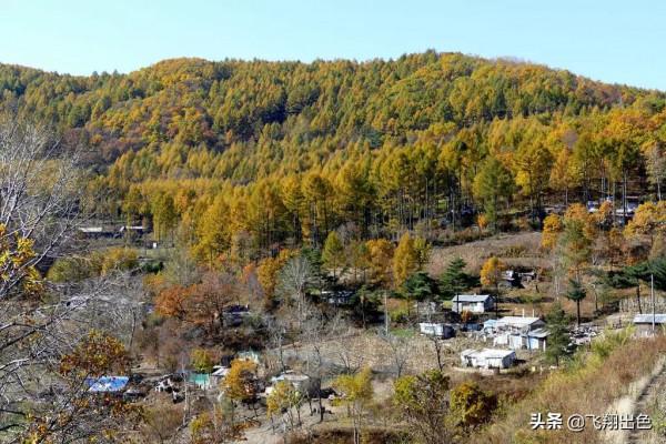 北國第4站丨我用一堆相片告訴你，綏芬河的深秋是怎樣的