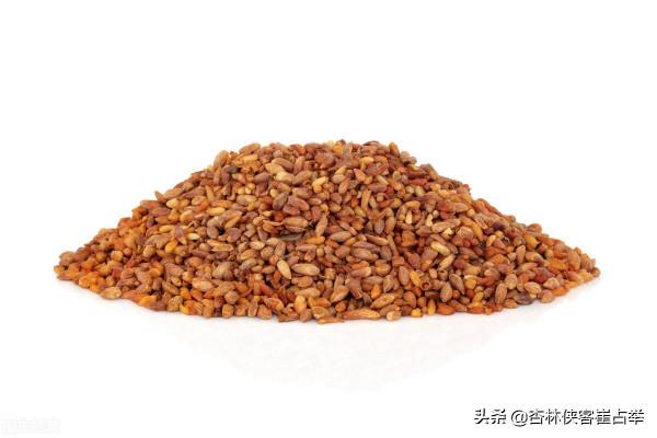 柏子養心丸：橫掃失眠！補心、腎補、腎水、還補心血