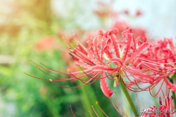 做好這三點，掌握人生的方向盤，活出純粹真我