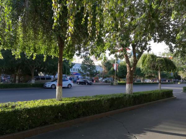 大美新疆八月全程遊記7：禾木印象-上（禾木橋、小木屋，下冰雹）