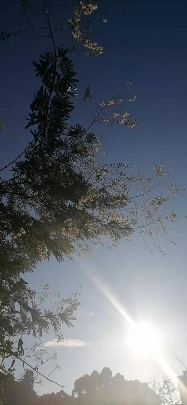 雲彩下的山城系列（四）