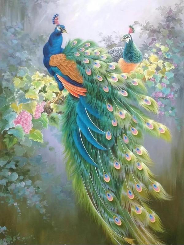 大師價格的手繪油畫孔雀,簡直不敢相信這是畫的,簡直跟照片似的 大師價格的手繪油畫孔雀,簡直不敢相信這是畫的,簡直跟照片似的