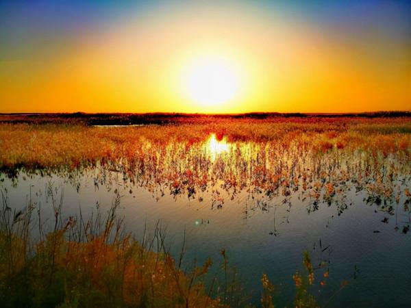 “大漠孤煙直,長河落日圓”,去看看王維筆下沙漠中的那個居延海 “大漠孤煙直,長河落日圓”,去看看王維筆下沙漠中的那個居延海