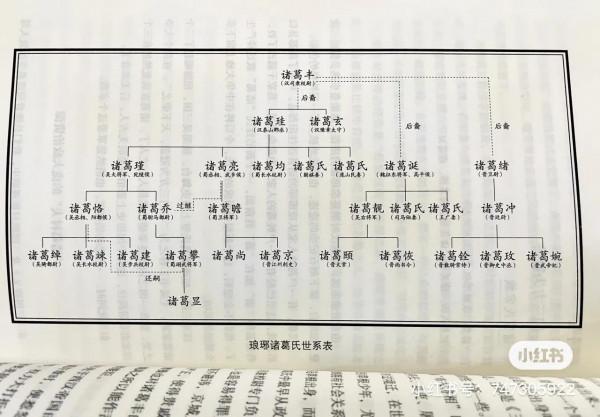 諸葛亮養子：諸葛喬之死的猜想