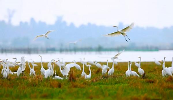 海南最美的8大海灣,太美了 海南最美的8大海灣,太美了