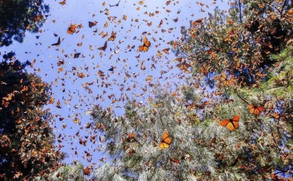 逃離城市！四川最美的10個神仙村落，第一個就心動了