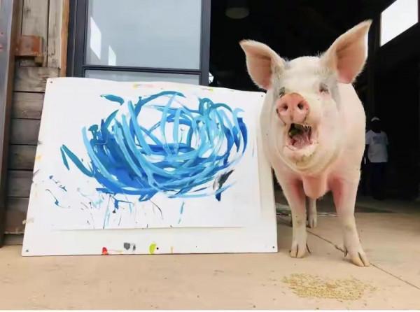藝術豬生，可以說是豬生巔峰