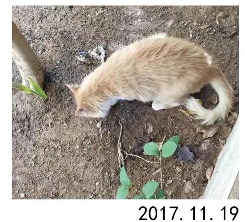 摩洛哥深度十二天異域風情遊（6）