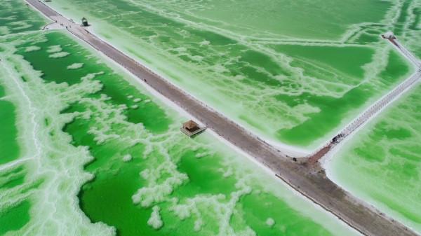 標緻4008環青海長測Day8：察爾汗鹽湖，最值得來的西北鹽湖之一！