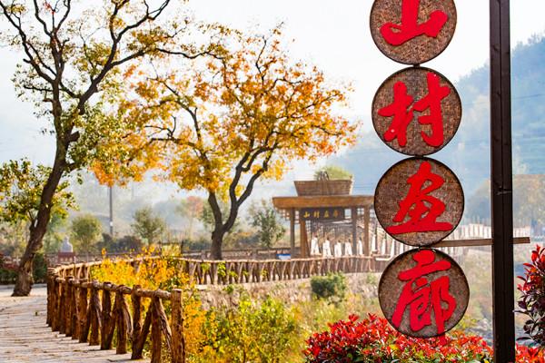 終於等來了!“紅軍村”裡烏桕紅,中國最美烏桕谷裡羅城又熱鬧了 終於等來了!“紅軍村”裡烏桕紅,中國最美烏桕谷裡羅城又熱鬧了