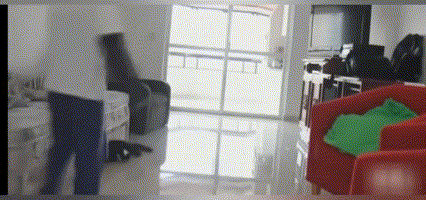 笑噴！聽聞國足兵敗越南，動物城的朋友紛紛發起瘋狂挑戰