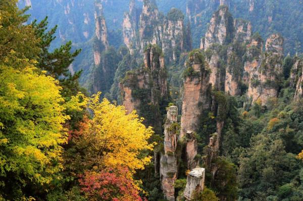 連日暖陽,快來張家界武陵源欣賞初冬的色彩 連日暖陽,快來張家界武陵源欣賞初冬的色彩