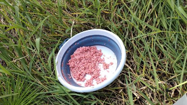 向左還是向右該何去何從，男人的野性在呼喚