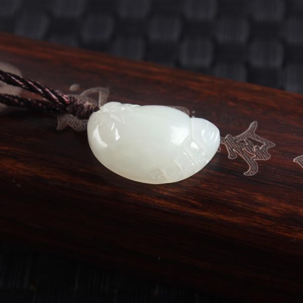 昆蟲之王——蜘蛛 昆蟲之王——蜘蛛