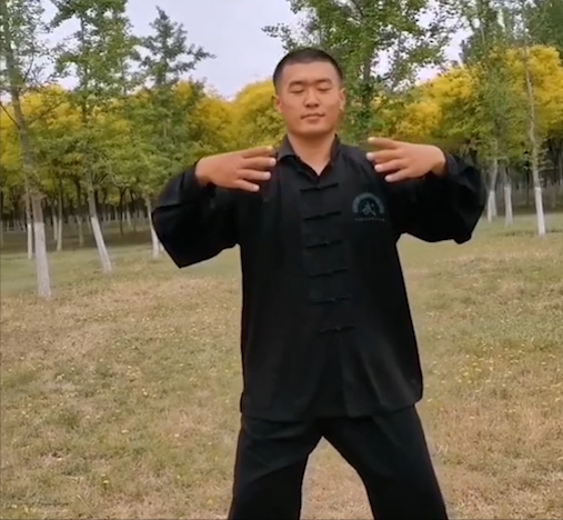 小夥子自幼苦練通背拳，狠厲拳法震撼網友，冠軍張偉麗也前來拜訪