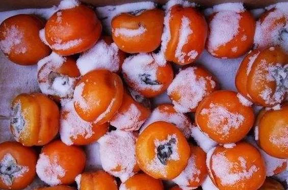 北方的冬天美景和美食 北方的冬天美景和美食