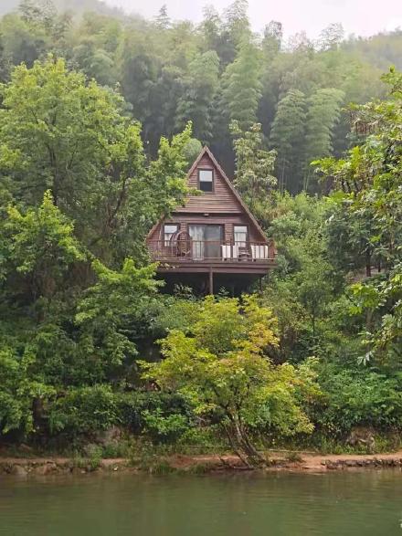這樣的森林小木屋你可喜歡？
