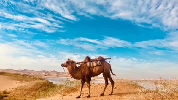 我們為什麼要去旅行? 我們為什麼要去旅行?