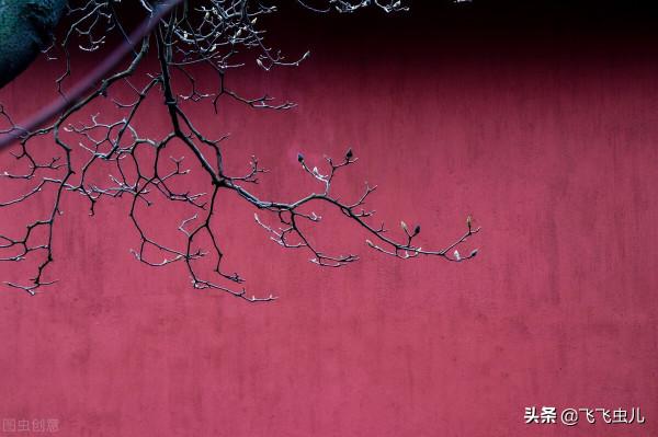 接受自己的不完美