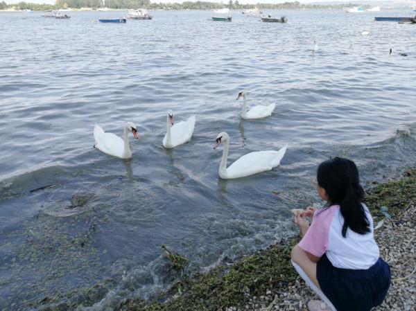 塞爾維亞和波黑之旅