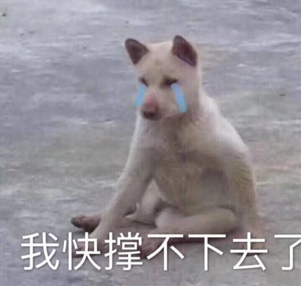 網戀“女神”背後，藏著多少不可告人的秘密？